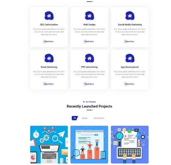 Projects and Testimonials Section